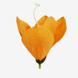 СБ Крокус оранжевый 10,5см (1уп-25шт) ПТ №1068 фото