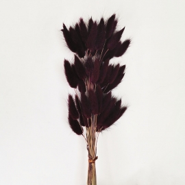 Сухоцвет "Лагурус" 60см (1уп-60шт) баклажановый фото