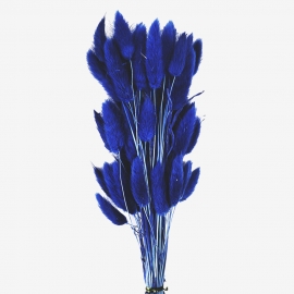 Сухоцвет "Лагурус" 60см (1уп-60шт) туманно-голубой фото