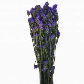 Сухоцвет "Статица" (120гр) фиолетовый фото