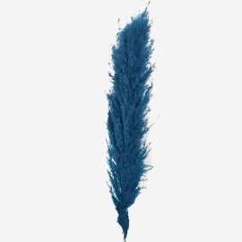 Сухоцвет "Пампас пушистый" (60-70см) изумрудный фото