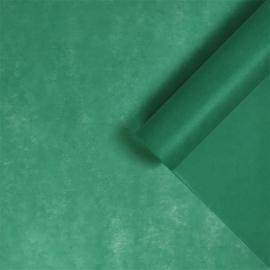 Фетр цветной 50см*20м зеленый папоротник фото