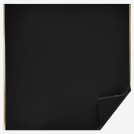 Пленка "Золотой кант" 58*58см (1уп-20шт) чёрный МЭ фото