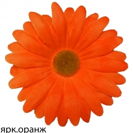 СБ Гербера 12см (1уп-50шт) оранжевый НЗ№Гер фото