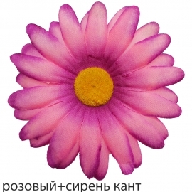 СБ Гербера 12см (1уп-50шт) розовый+сирень кант НЗ№Гер фото