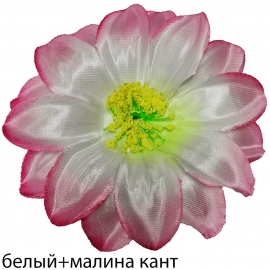 СБ Крокус двойной атлас 13см (1уп-50шт) белый+розовый НЗ/МР№ К2к/F74 фото