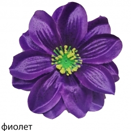 СБ Крокус пестрый (1уп-50шт) фиолет МР№е74 фото