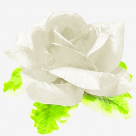 СБ Роза в листе 15см (1уп-15шт) белый КТ№65-16 фото