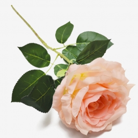 Ветка Роза 1г/78см (1уп-10шт) персиковый фото