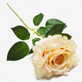 Ветка Роза 1г/78см (1уп-10шт) крем/розовый фото