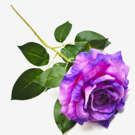 Ветка Роза 1г/78см (1уп-10шт) сирень/фиолет фото