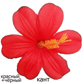 ПР Милашка КТ 2-4 без тычинки (1уп-100шт) красный кант фото