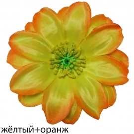 СБ Крокус двойной атлас 13см (1уп-50шт) жёлтый+оранж.кант НЗ/МР№ К2к/F74 фото