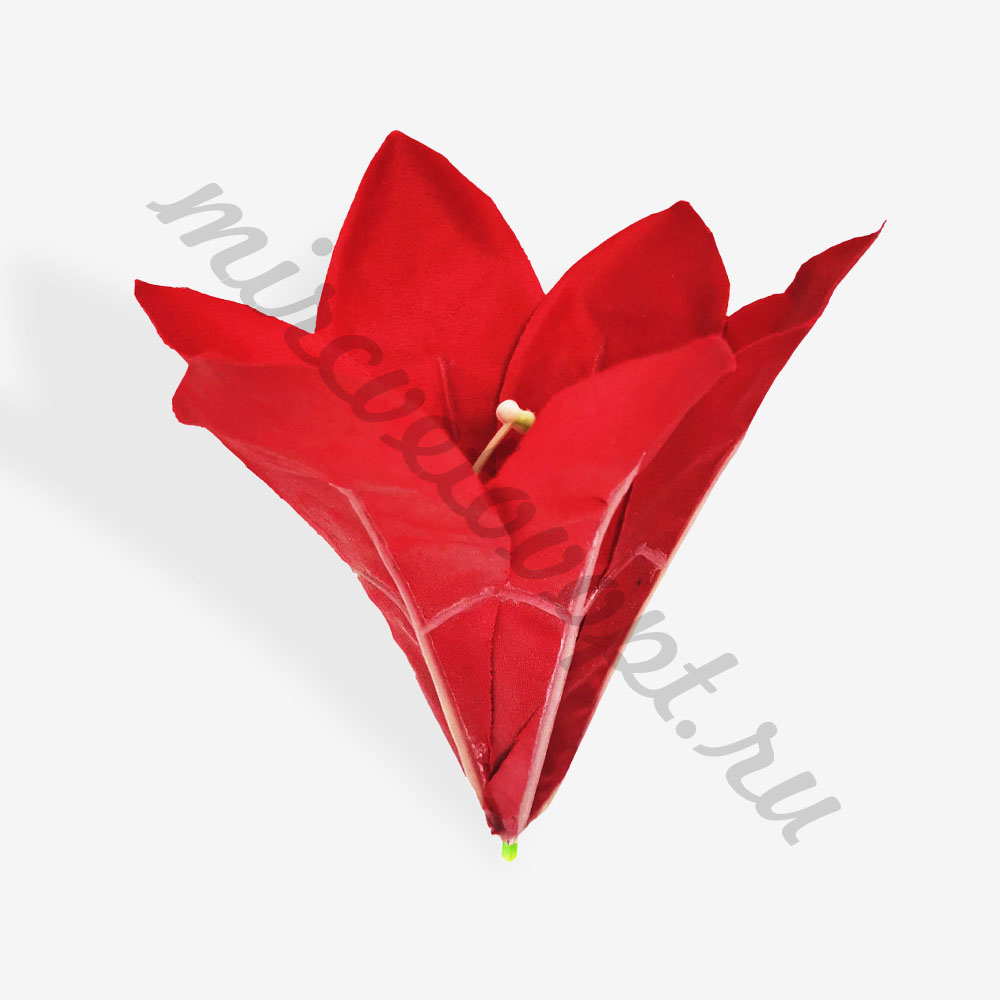 02027 красн
