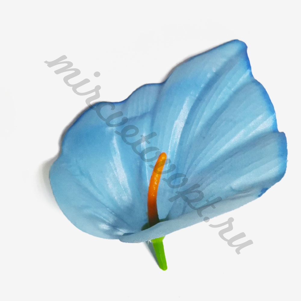 01010 голубой