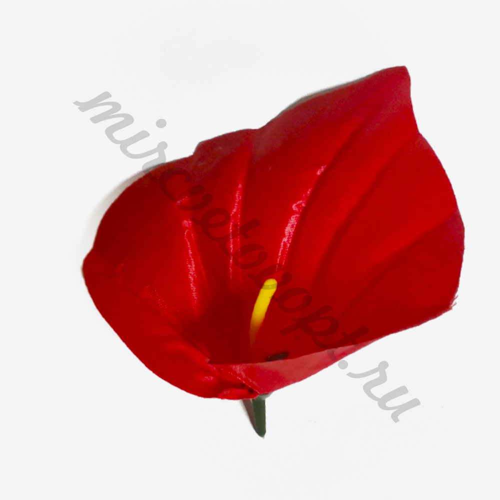 01010 красн