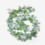 Лиана-цепь Фиттония 220см