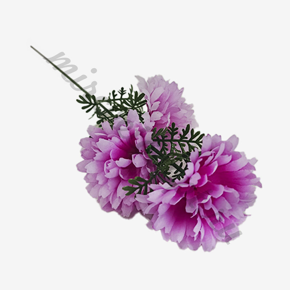 сирень
